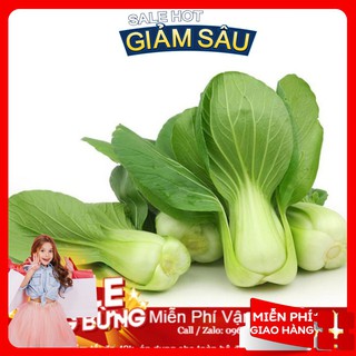 Hạt giống cải chíp - 100 hạt / gói