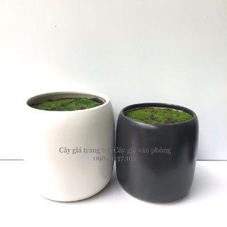 Com bo  chậu trụ gốm và kệ gỗ
