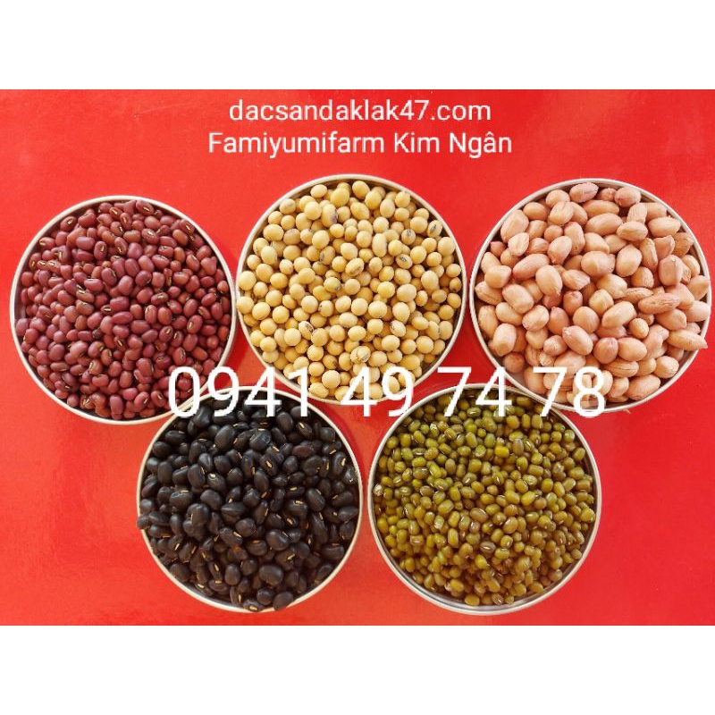 500g Nguyên liệu làm sữa, đậu nấu chè: điều sữa, đậu đen xanh lòng hạt nhỏ - đỏ - xanh - nành