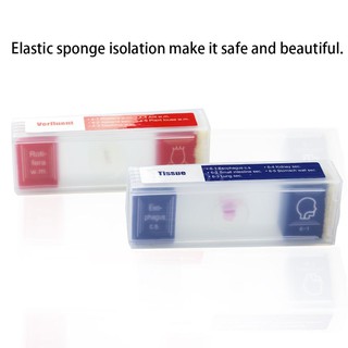 Bộ 35 Mẫu Vật Mẫu Vật Thí Nghiệm