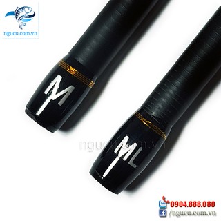 Cần Câu Lure 2 Ngọn M Và ML