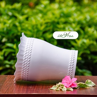 Chậu trồng cây Lục Bình Cao Trắng
