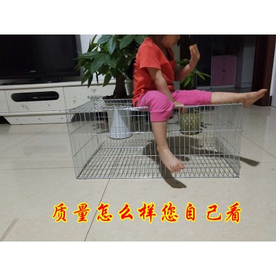 Lồng úp gà chọi 100 X 100 X 80 CM kèm khay nhựa