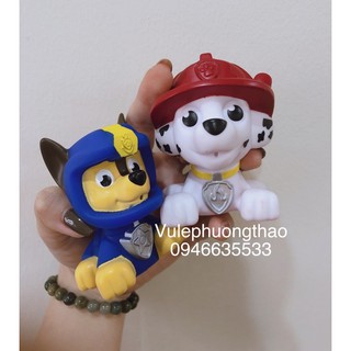 Chó cứu hộ phun nước