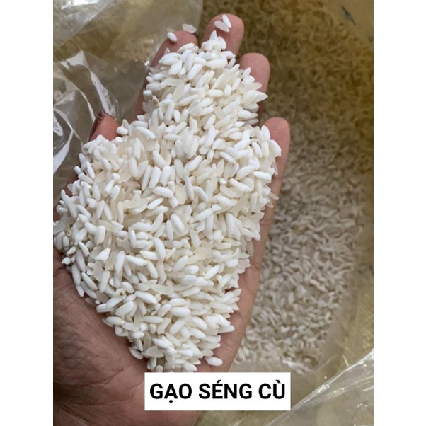 Hạt giống lúa Séng cù thuần của người Mông túi 1kg