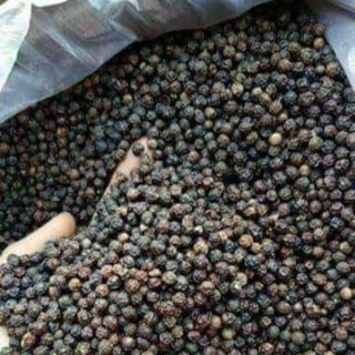 Hạt tiêu đen