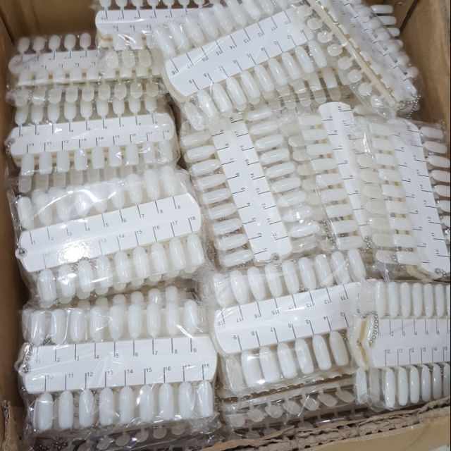 Móng mẫu gắn bảng màu