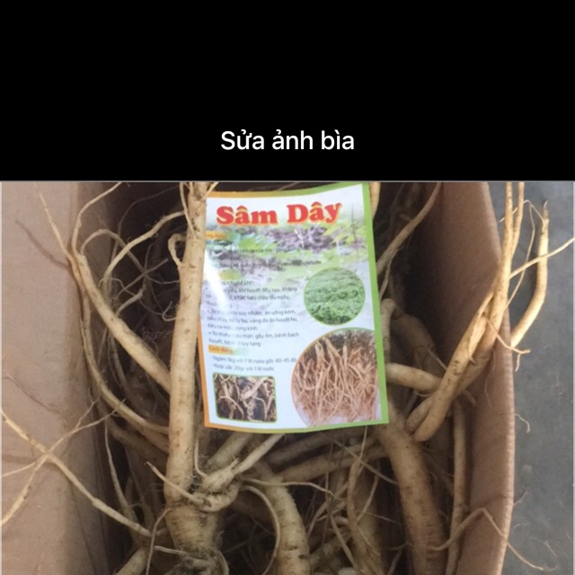 Sâm dây 10 củ / kg | BigBuy360 - bigbuy360.vn