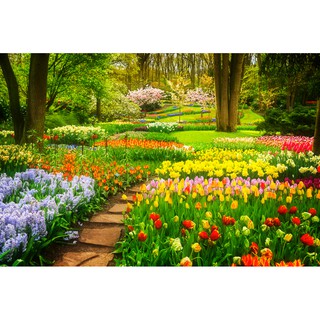 Con đường hoa tulip giản đơn, tranh dán tường 3d hiện đại (tích hợp sẵn keo)