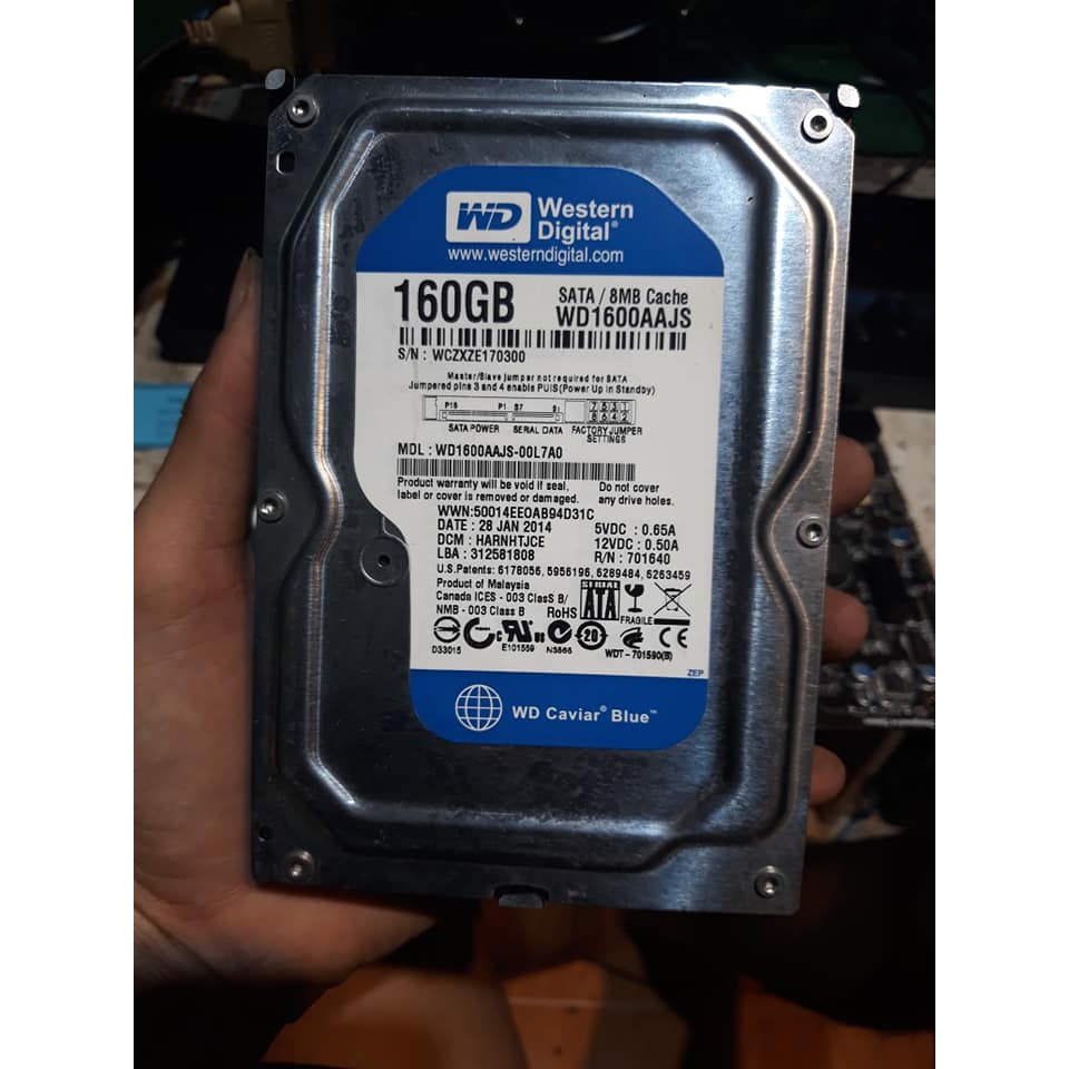 Ổ cứng gắn máy bàn HDD 160Gb hàng bóc máy | BigBuy360 - bigbuy360.vn
