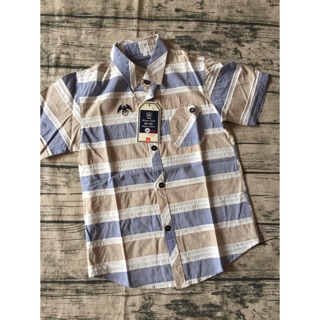 Combo 5 somi ntrai sz 6-15 tuổi Ii hƯ