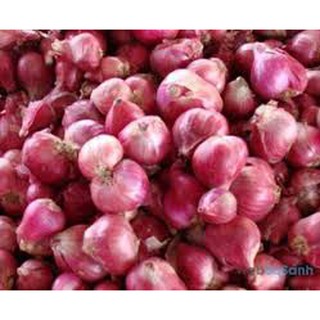 [FREE SHIP 99K]  Chùm hành tím Lý Sơn loại 1