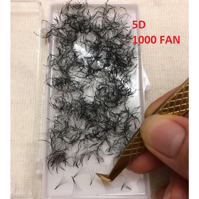 Mi fan 5D HỘP 1000FAN_dụng cụ nối m_mi khay _mi fan giá rẻ_kho mi giá sỉ_THÚY HÀ