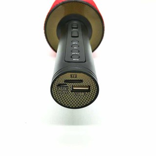 Mic hát karaoke V8 kiêm loa