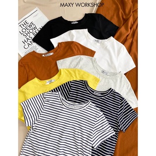 Áo thun nữ basic cổ tròn sọc màu Basic tee Maxy Workshop
