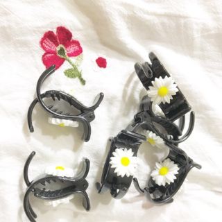 Kẹp càng cua cúc họa mi