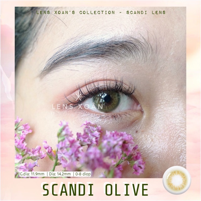 KÍNH ÁP TRÒNG SCANDI OLIVE- OLENS : LENS XANH OLIVE NHẸ NHÀNG TỰ NHIÊN | LENS XOẮN