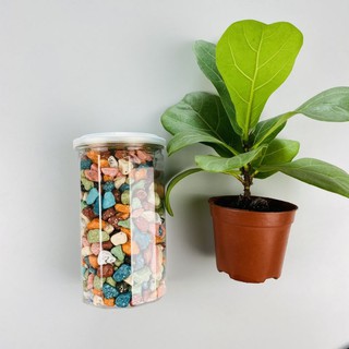 Kẹo Sỏi 500 Gram