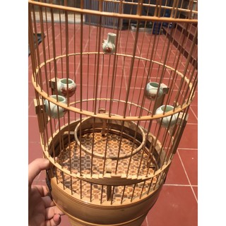 LỒNG CHIM KHUYÊN DŨI DỪA