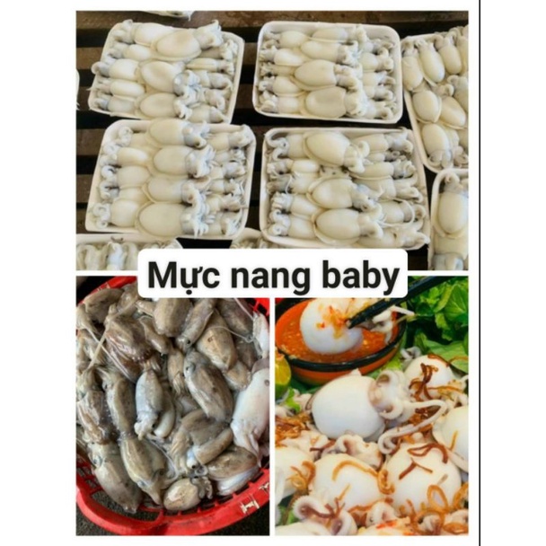 TỔNG HỢP CÁC LOẠI MỰC, RÂU BẠCH TUỘC.