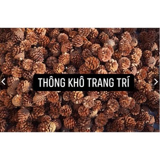 [Hàng sẵn] Quả thông khô trang trí decor (gồm cành)