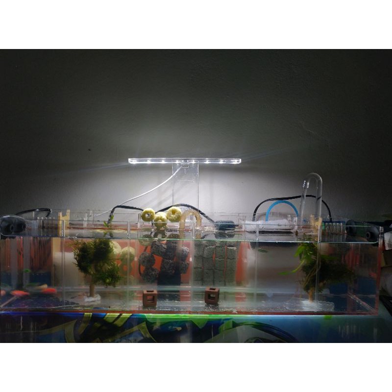 Hộp acrylic nuôi cá chọi betta 8 ngăn trong suốt