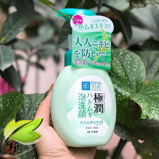 Sữa rửa mặt Hada Labo dành cho da dầu mụn