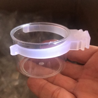 100 cóng nhựa quai trắng dành cho chim