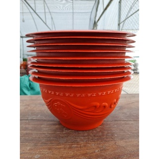 Combo 50 chậu t38 kích thước miệng phủ bì 36cm ( lòng chậu 30cm) cao 20cm
