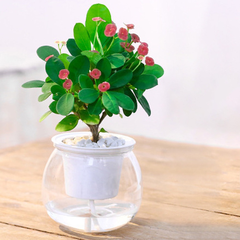 1 Bình Hoa Thủy Tinh Có Giá Đỡ Bằng Sắt Phong Cách Bắc Âu Trang Trí Nội Thất