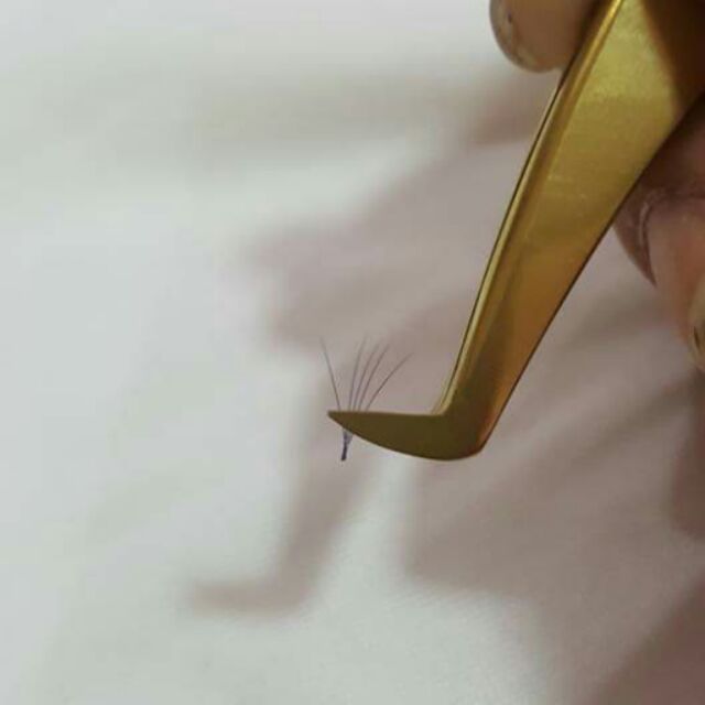 Nhíp volume tạo fan từ 3D-8D