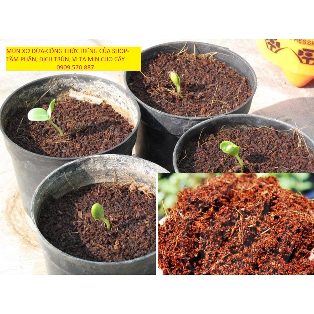 Mụn Xơ Dừa trồng cây. SHIP 30 PHÚT CÓ. KHO TẠI QUẬN 11, 7, 9, THỦ ĐỨC VÀ PHÚ NHUẬN