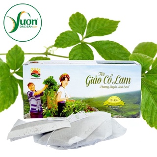 Hộp Trà giảo cổ lam túi lọc Phương Huyền 30g (15 túi x 2g) thảo dược quý của Hòa Bình - Vườn Đặc Sản Sài Gòn