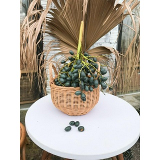 Bàn Trà Mây Các Kích Thước Phong cách Vinage Boho Siêu Xinh Xắn Decor Trang Trí Nhà Cửa Phòng Bé, Phòng Khách, Ban Công