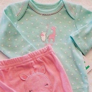 Carters Bộ bé gái Vnxk