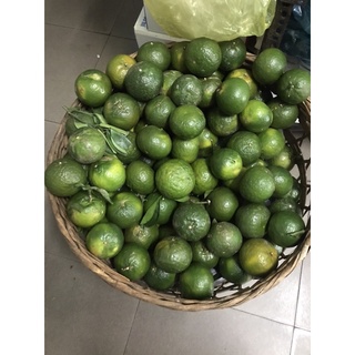 [CHỈ GIAO TP.HCM] Cam Sành Tam Bình-Vĩnh Long