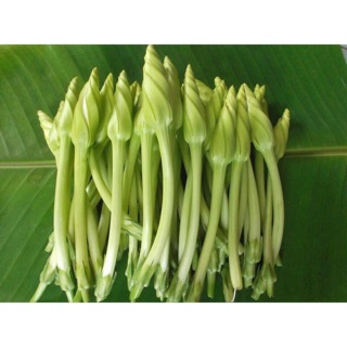 Hạt giống hoa chomchan