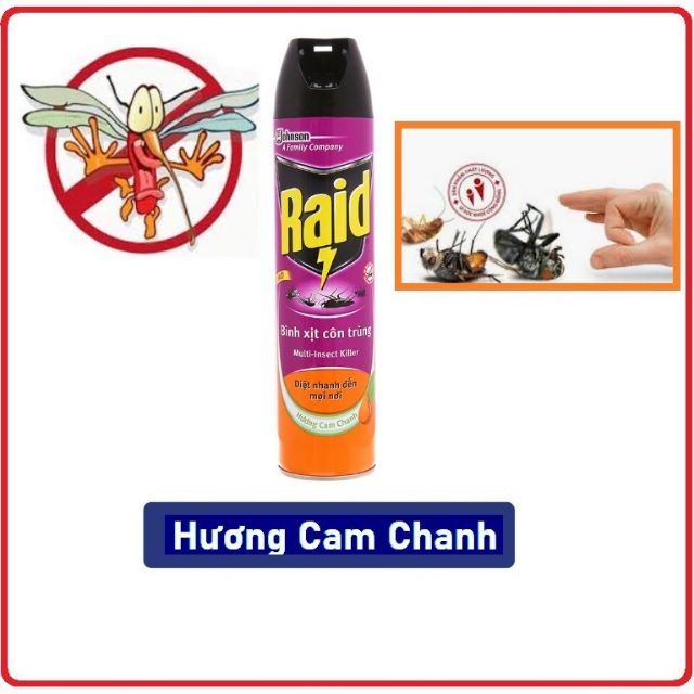 Raid xịt côn trùng 520ml mẫu mới