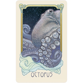 Bộ Bài Dreamscape Oracle (Guu Tarot Shop)