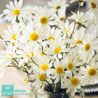 Hoa Giả - 1 CÀNH HOA CÚC HỌA MI Loại 1 Giống Thật - 1 Cành 5 Bông (Nên cắm từ 10 cành để được 1 bình đẹp)