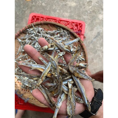 Khô cá cơm Kiên Giang