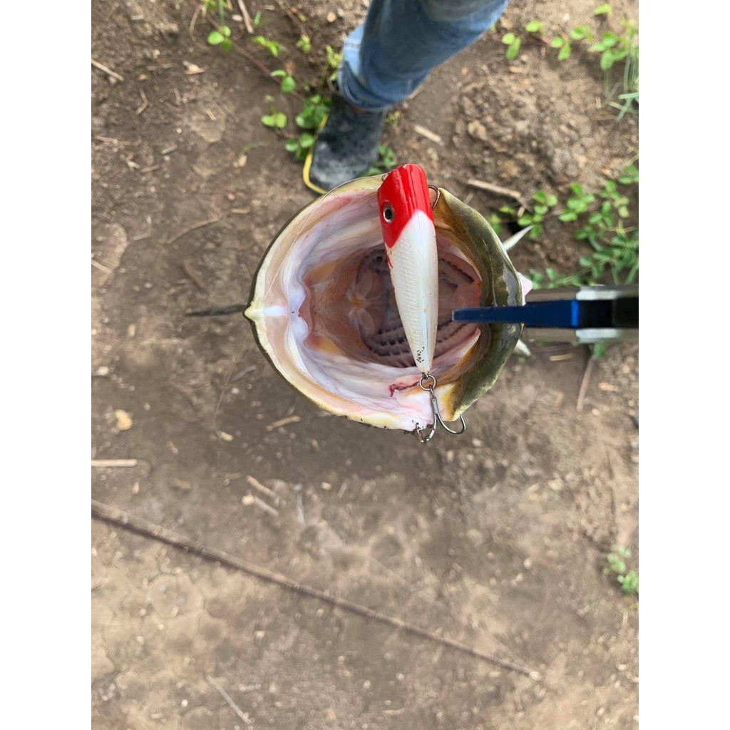 Mồi câu chẽm tầng mặt nước Waterpoper 10gram HKN Fishing