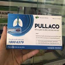 Pullaco CN48 | BigBuy360 - bigbuy360.vn