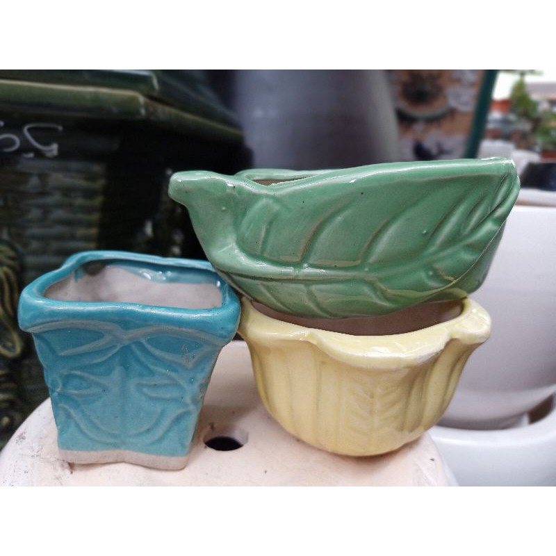 chậu men mini