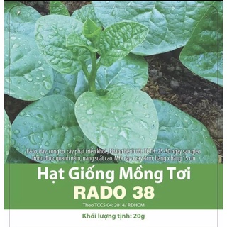 Hạt giống mồng tơi