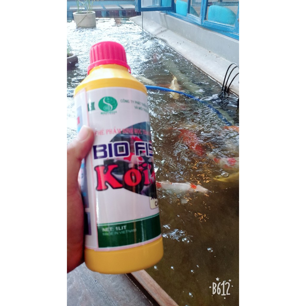 BIOFISH-KOI vi sinh hồ cá koi - chai 1lít