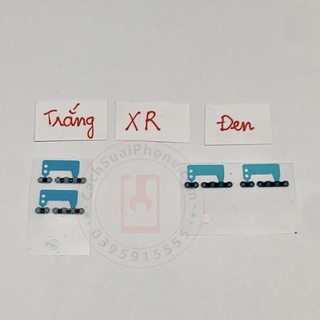 Màng Loa - Mic IP XR