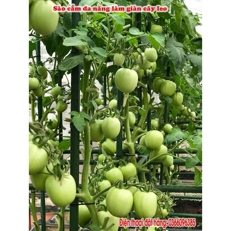Ống thép bọc nhựa dùng làm cây đỡ hoa hồng, làm giàn cỡ 16mm dài 180cm - Bt0408