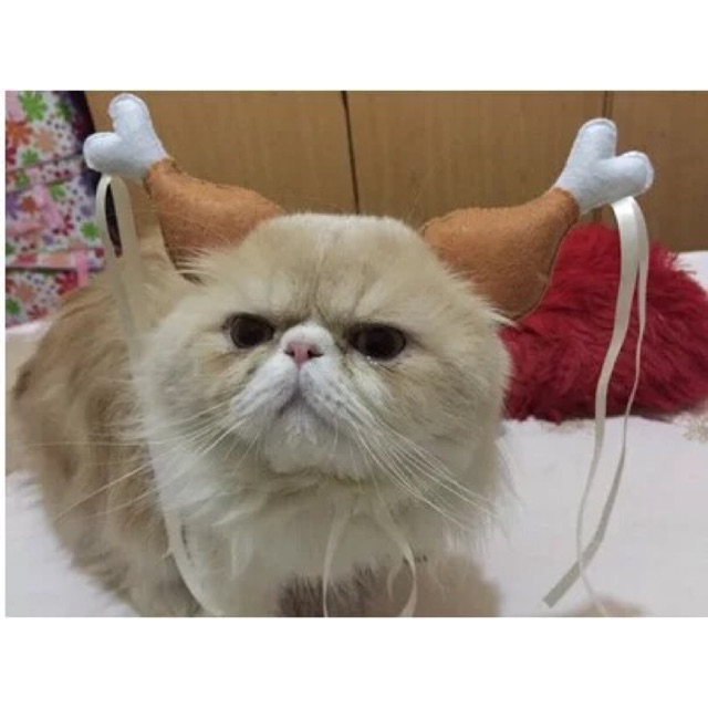 Phụ kiện thú cưng-nón đùi gà