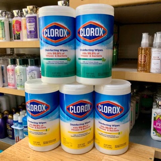 Khăn giấy ướt diệt khuẩn đa năng Clorox hộp 598g (85 miếng) - Mỹ